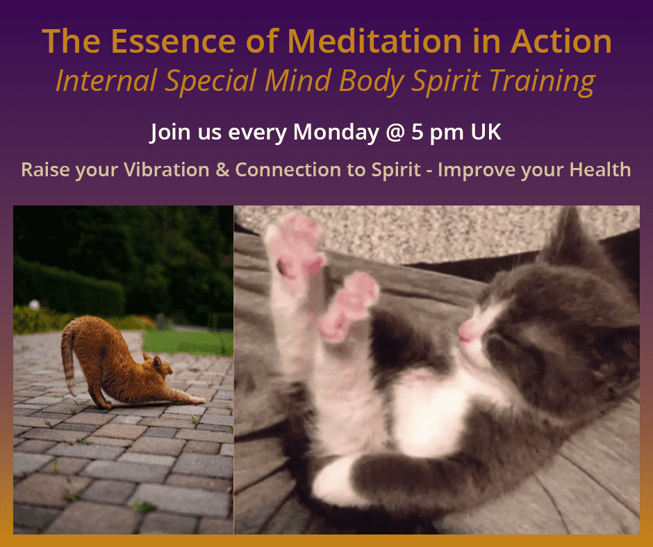 The Essence of Meditation in Action
