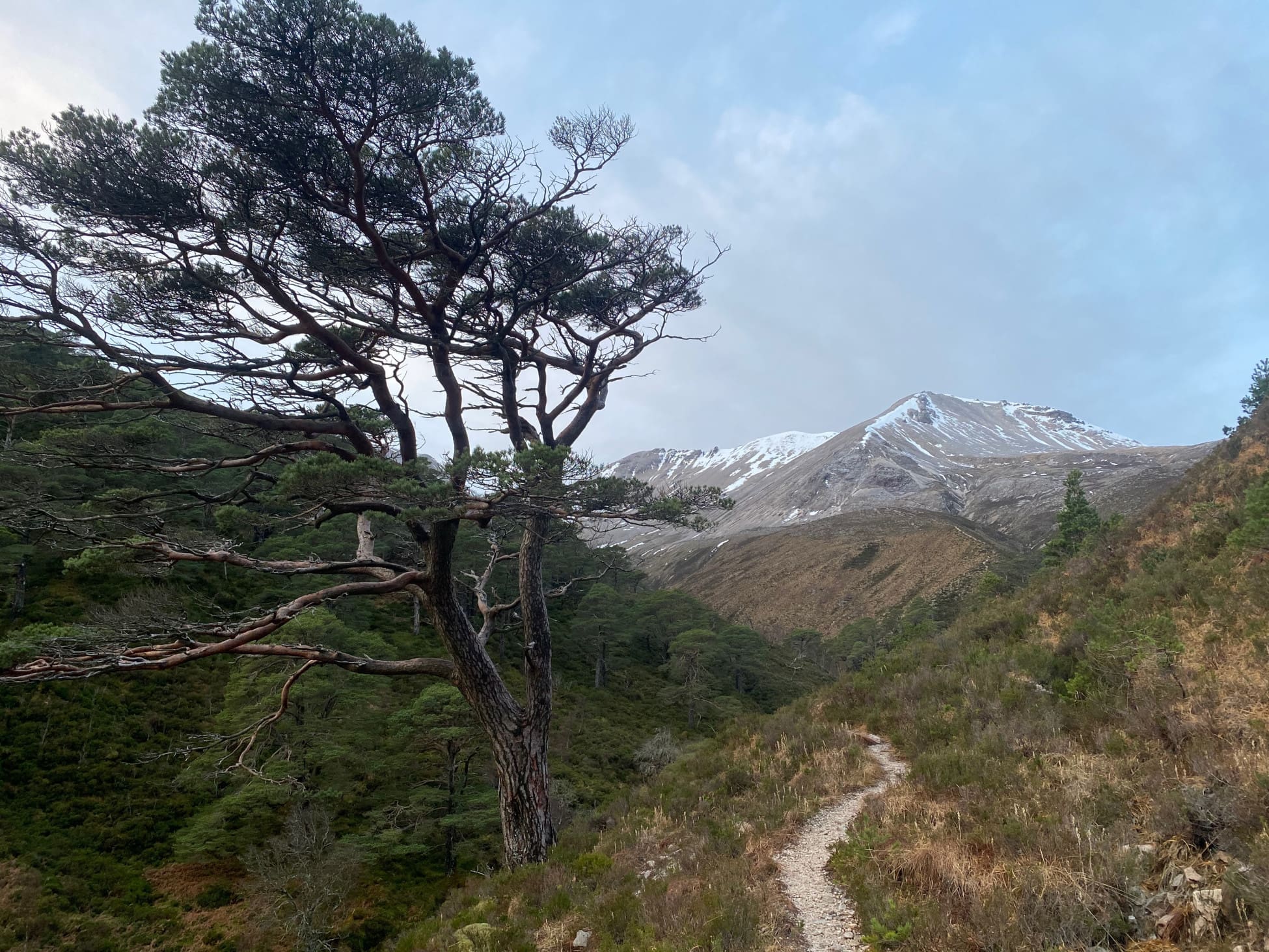 Group cover image